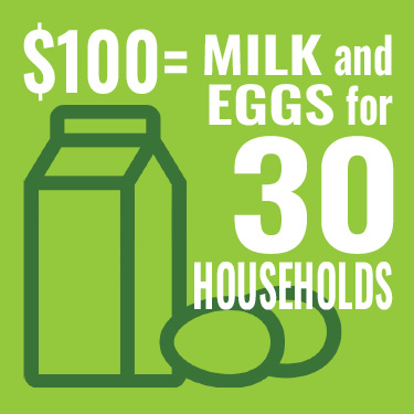 $100 provides milk and eggs for 30 households