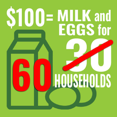 $100 provides milk and eggs for 60 households when your donation is doubled