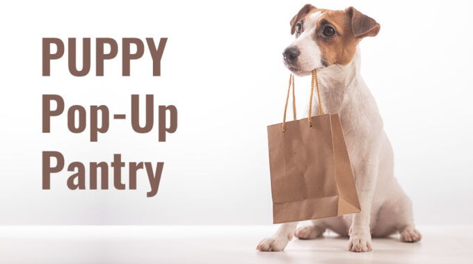 PUPPY Pop-Up Pantry