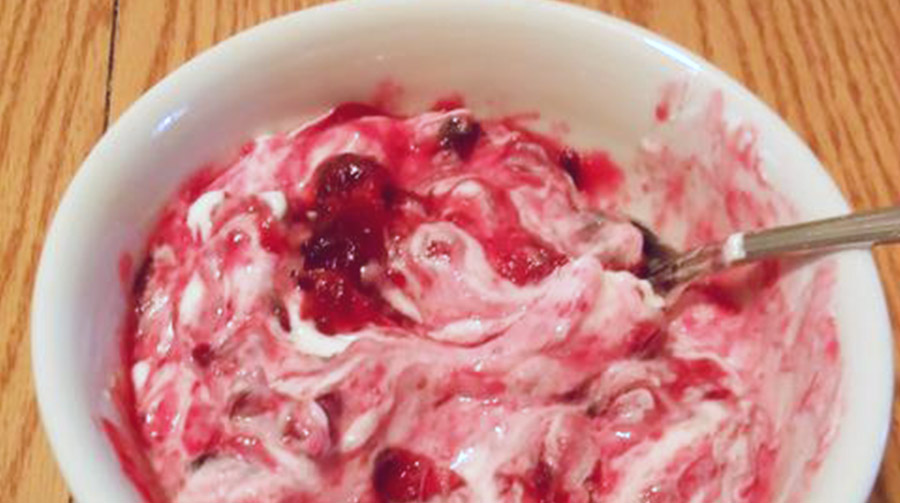 Cranberry Yogurt