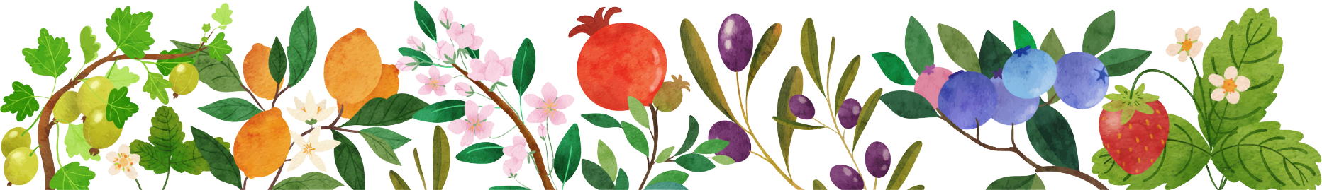Chopped fruit and flowers border