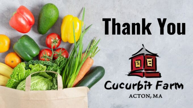 A spilling paper bag of fresh produce to the left on grey background with the words Thank You in black on the right and the Cucurbit Farm logo